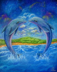 Judys-Dolphins-JeffBallance